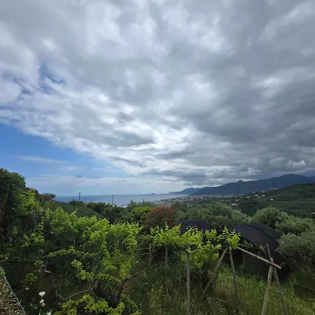 Belvedere - By Ligooria *